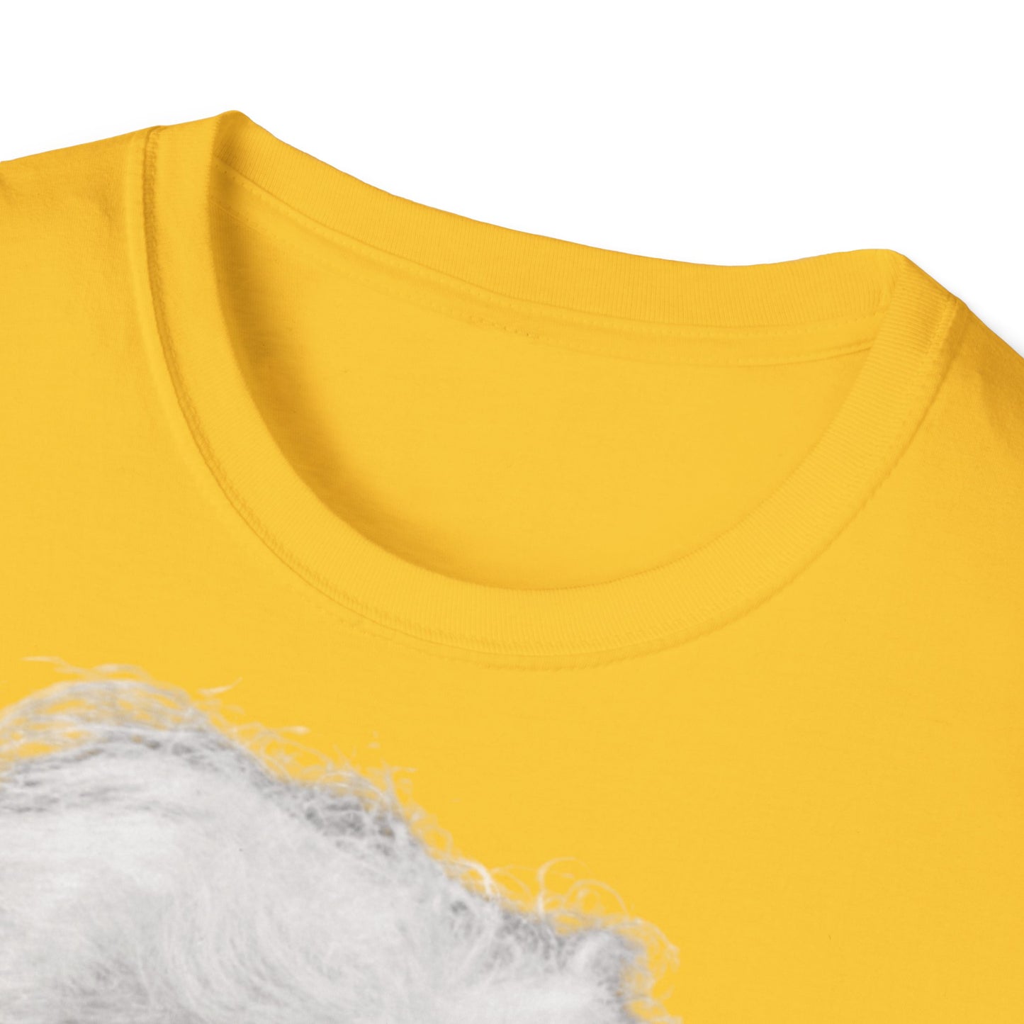 Unisex Softstyle T-Shirt 'Einstein'