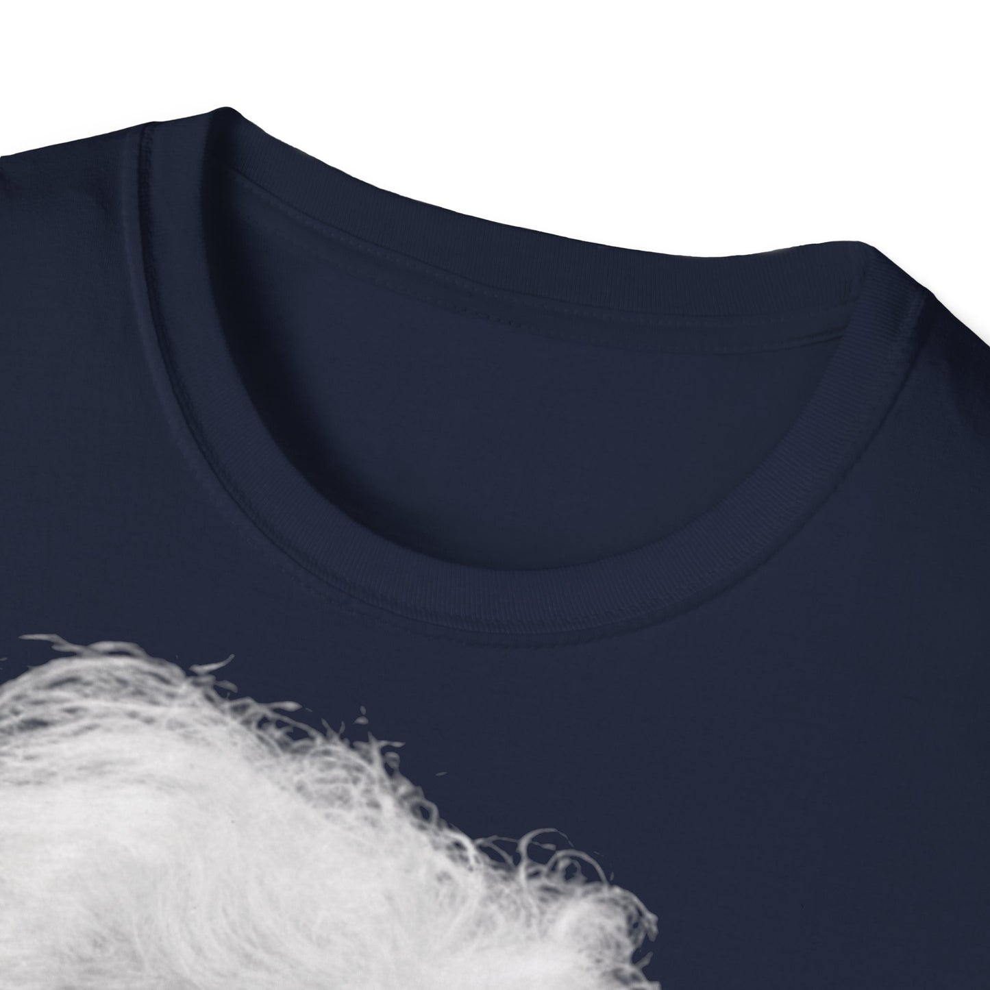 Unisex Softstyle T-Shirt 'Einstein'