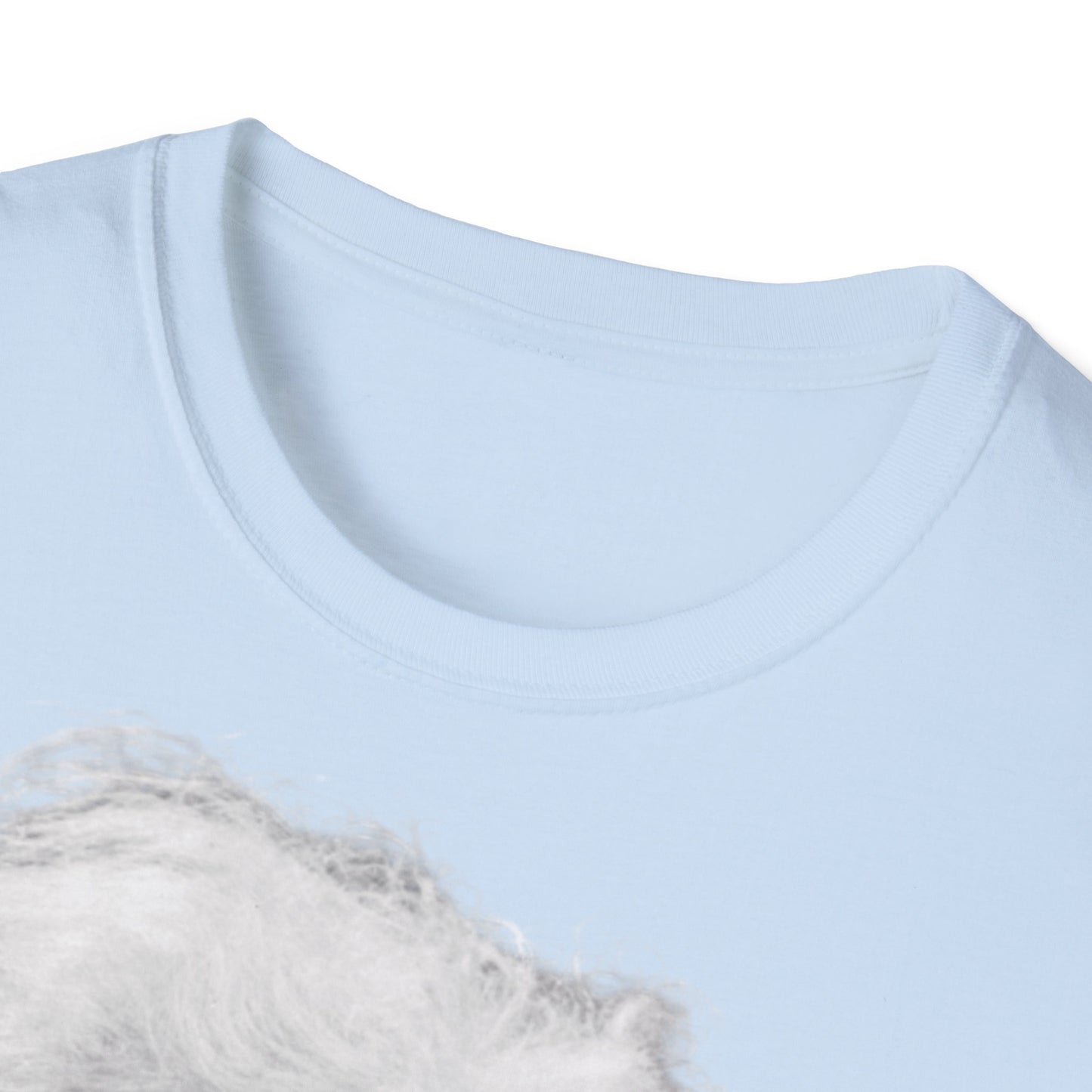 Unisex Softstyle T-Shirt 'Einstein'