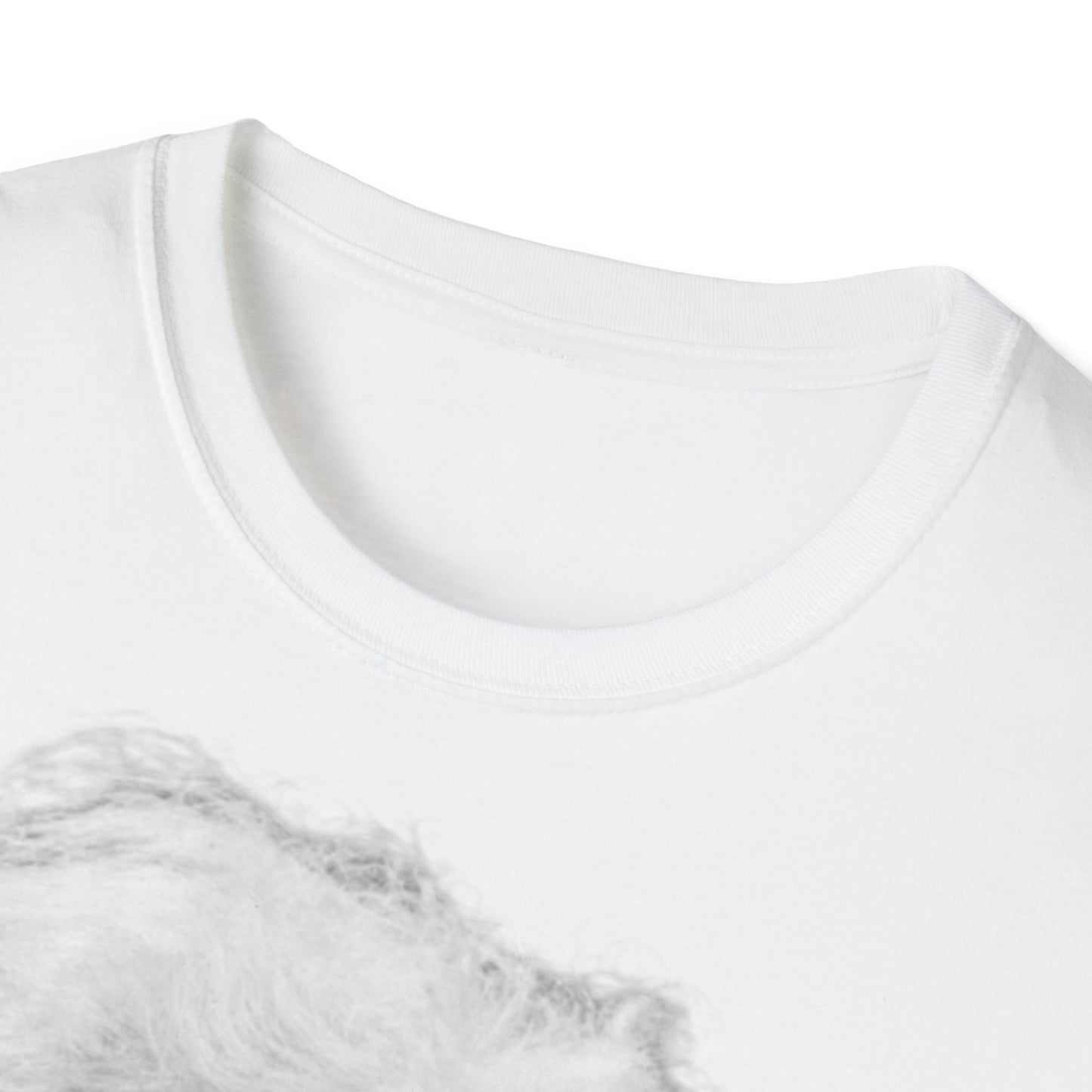 Unisex Softstyle T-Shirt 'Einstein'