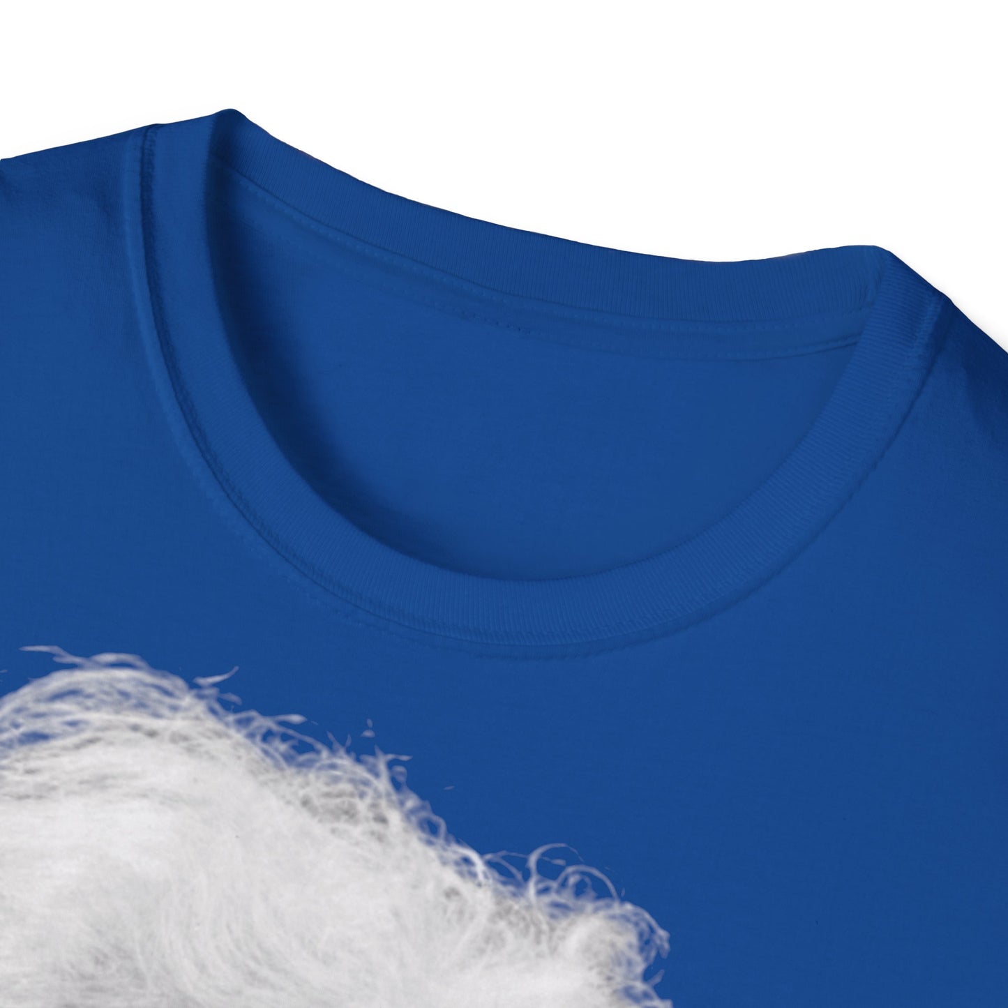 Unisex Softstyle T-Shirt 'Einstein'