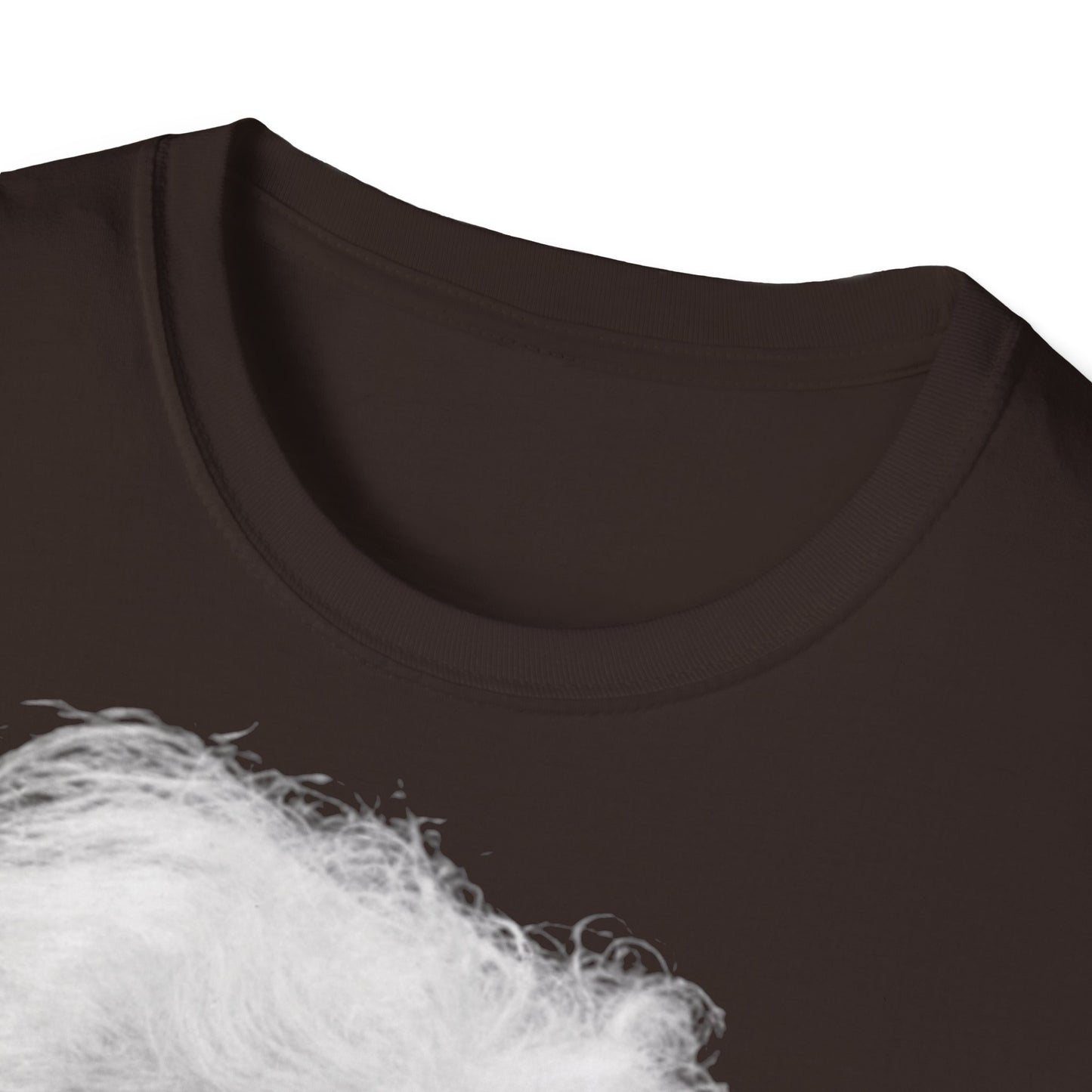 Unisex Softstyle T-Shirt 'Einstein'